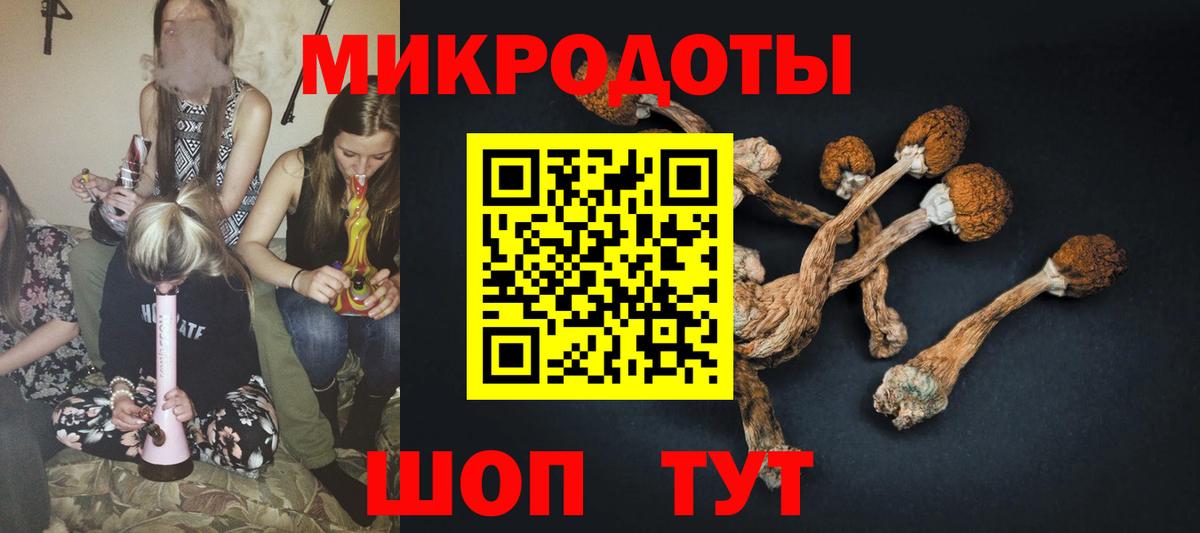 Псилоцибиновые грибы мухоморы Сунжа