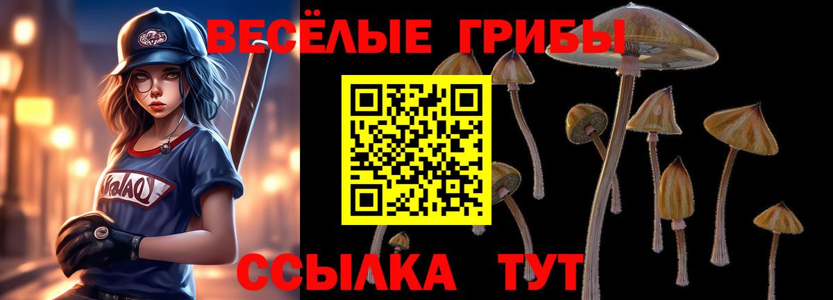 Сунжа  Псилоцибиновые грибы Magic Shrooms  Вход с VPN  Галлюциногенные грибы ЛСД 